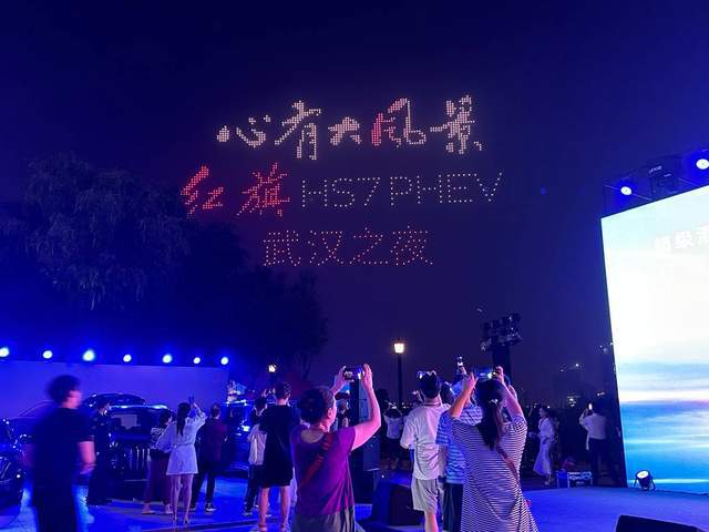 红旗HS7PHEV武汉区域上市(图5)