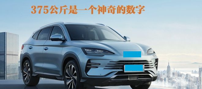 B体育：谈谈新能源汽车最大载重375公斤的争议(图2)