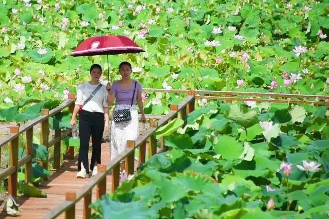 银海区年度大事图片(图13)