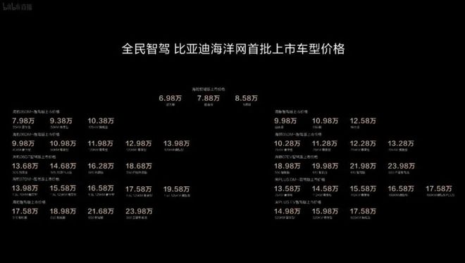 万亿比亚迪的AB面：资本狂欢与用户信任的双重大考(图4)