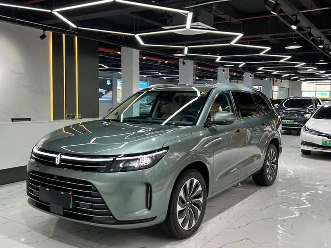 2024年最好卖的十大新能源车：特斯拉排第二长城进前十(图9)