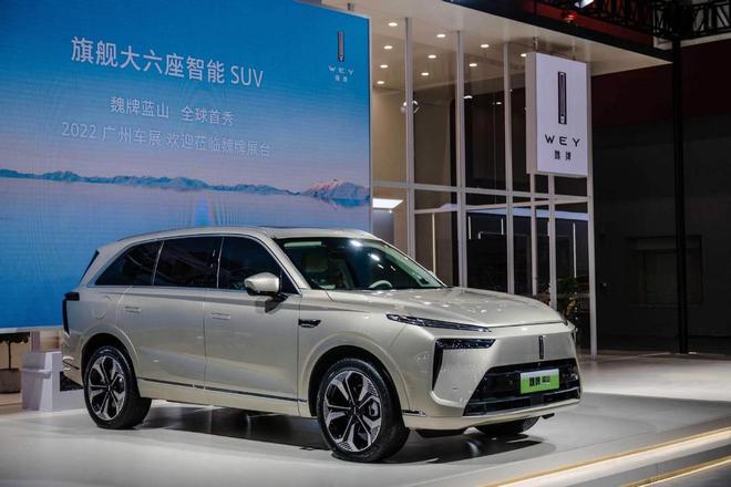 2024年最好卖的十大新能源车：特斯拉排第二长城进前十(图11)