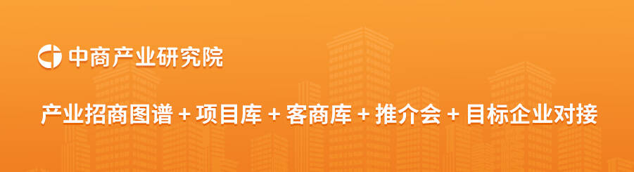 2024年12月中国新能源汽车厂商零售销量排行榜TOP10（附榜单）(图2)