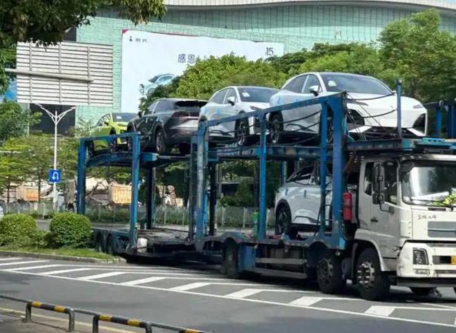 年终总结！中国新能源汽车年度成绩单：小米进前十第一名没悬念(图2)