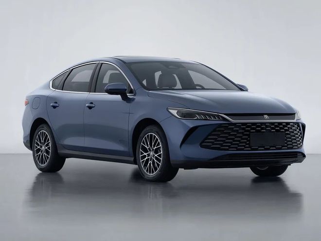 盘点2024年十大畅销新能源车：特斯拉ModelY第一比亚迪“大包大揽”(图2)