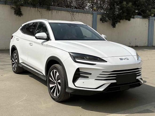 盘点2024年十大畅销新能源车：特斯拉ModelY第一比亚迪“大包大揽”(图4)
