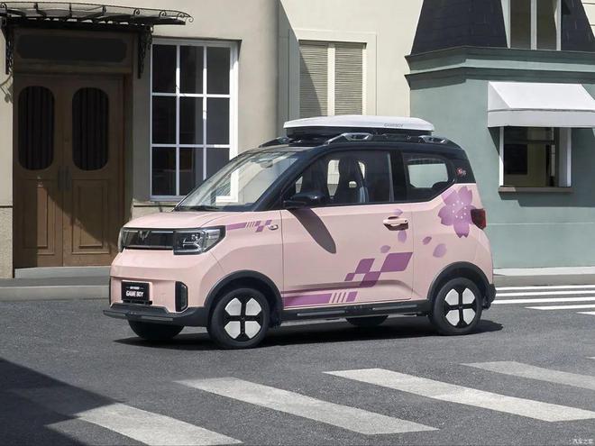盘点2024年十大畅销新能源车：特斯拉ModelY第一比亚迪“大包大揽”(图6)