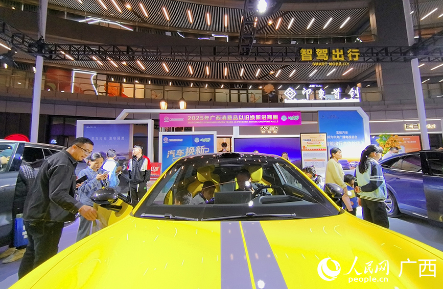 智驾让出行更便利国产新能源汽车绽光彩(图4)